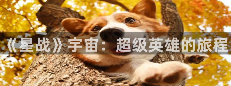 喵上漫画官网：《星战》宇宙：超级英雄的旅程