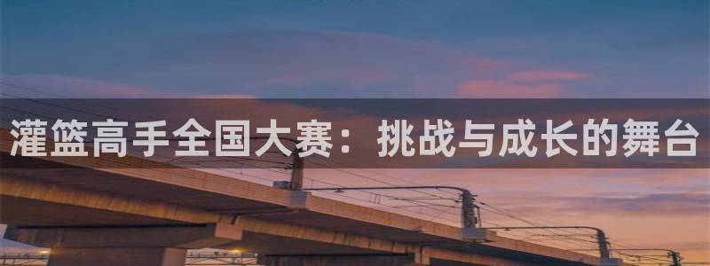 萌猫漫画：灌篮高手全国大赛：挑战与成长的舞台